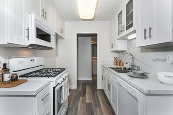 Quartz kitchen counter and backsplash